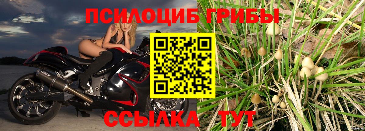 Экстази Апатиты