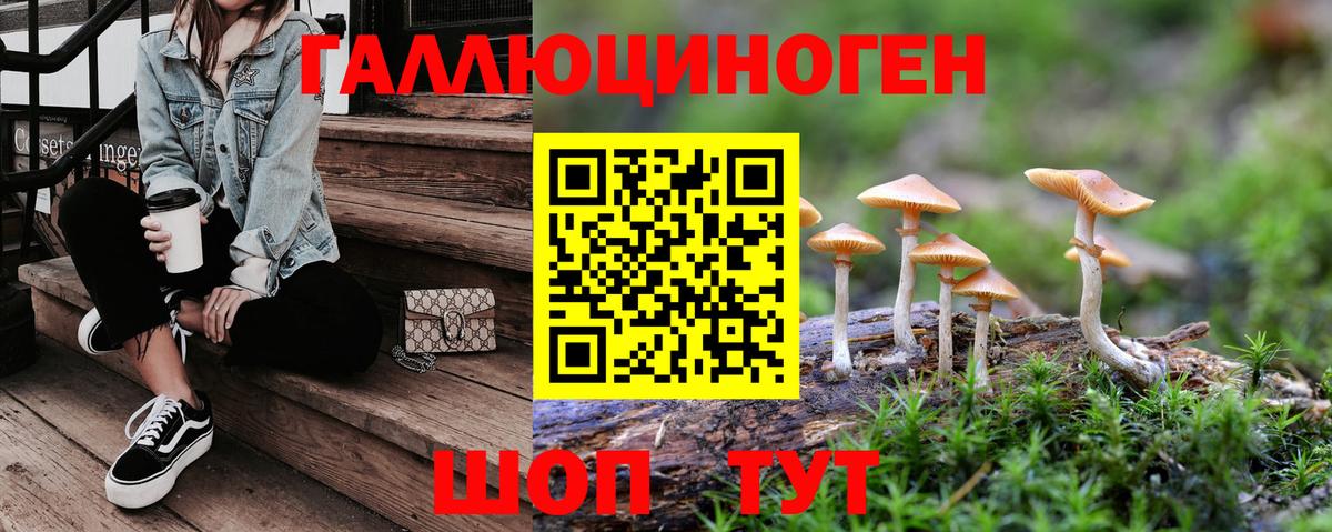 Псилоцибиновые грибы MAGIC MUSHROOMS  Галлюциногенные грибы мухоморы  Апатиты 