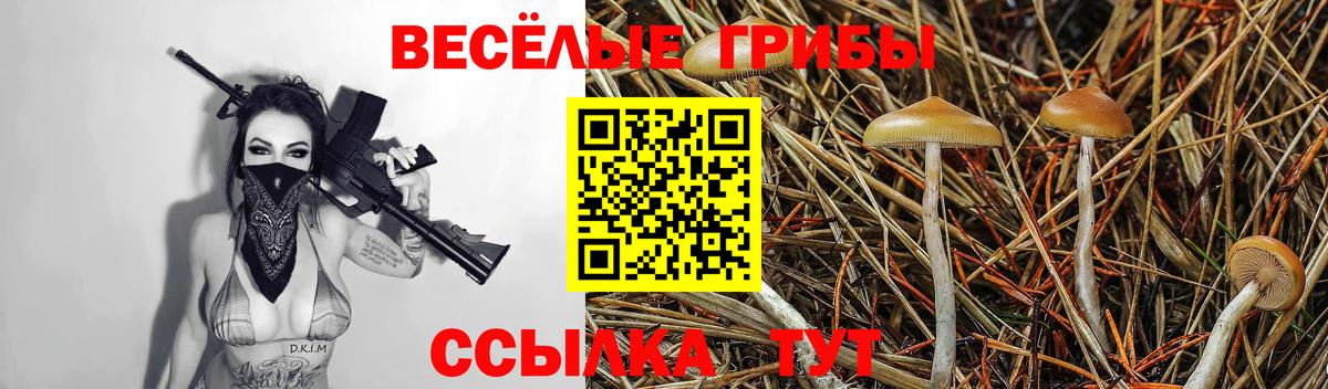 Галлюциногенные грибы прущие грибы  Вход с VPN  Апатиты 