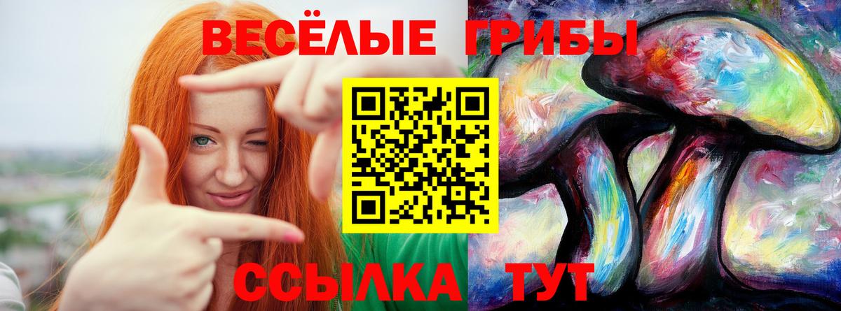 Галлюциногенные грибы ЛСД Апатиты